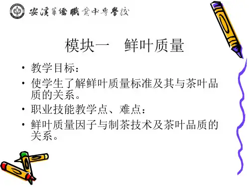 鲜叶新鲜度