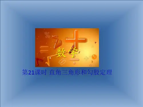 中考数学冲刺复习课件：第21课时直角三角形和勾股定理