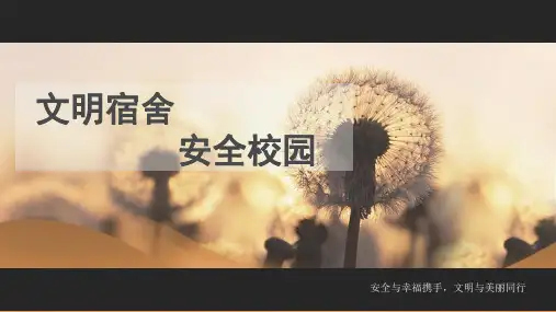 宿舍文明安全.PPT