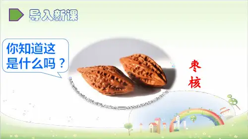 《枣核》ppt—人教部编版枣核完美课件5