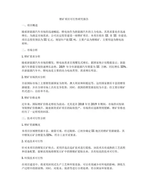 锂矿项目可行性研究报告