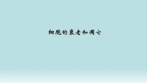 高中生物 细胞的衰老和凋亡