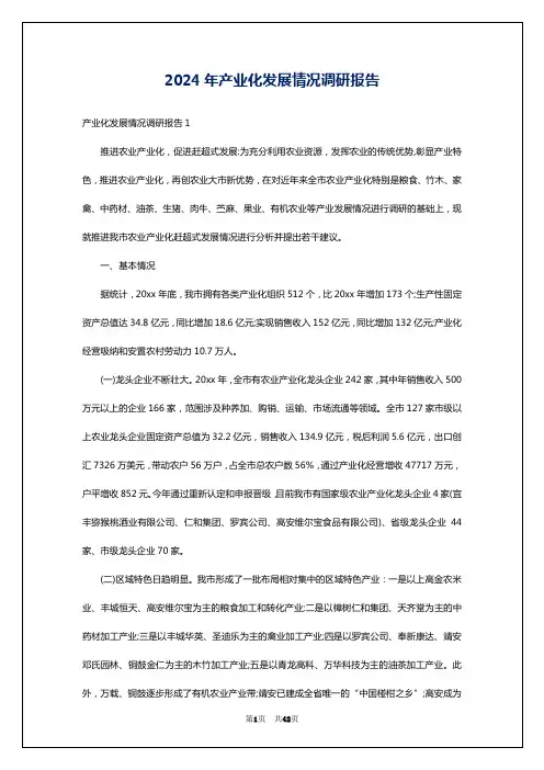 2024年产业化发展情况调研报告