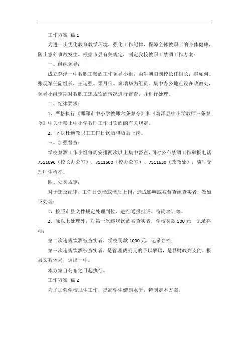 关于工作方案汇编五篇