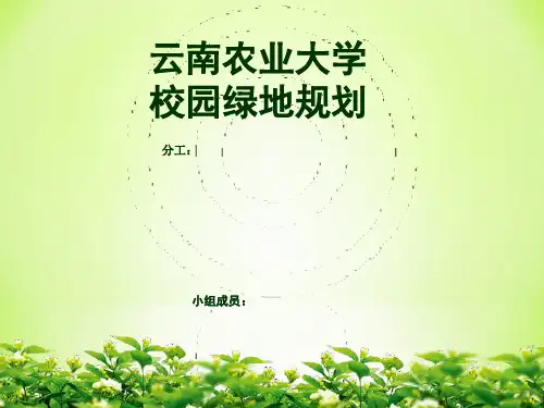 云南农大校园绿地规划作业案列01