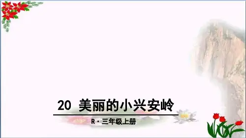  美丽的小兴安岭(人教部编版)