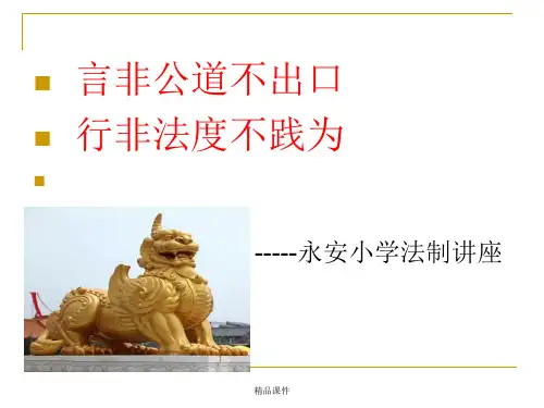 法制讲座(精编课件).ppt
