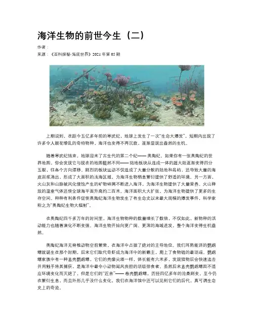 海洋生物的前世今生（二）