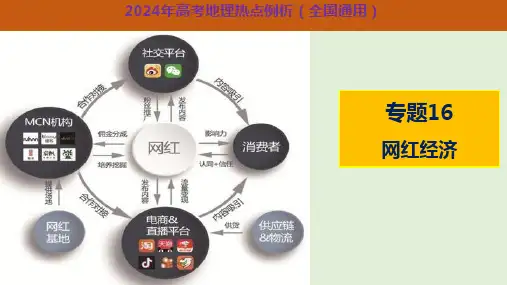 专题16网红经济(课件)高考地理热点例析(全国通用)