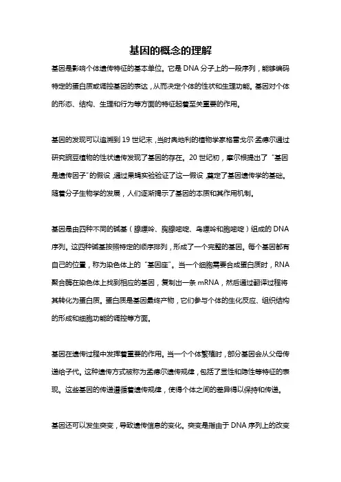 基因的概念的理解