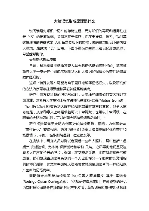 大脑记忆形成原理是什么