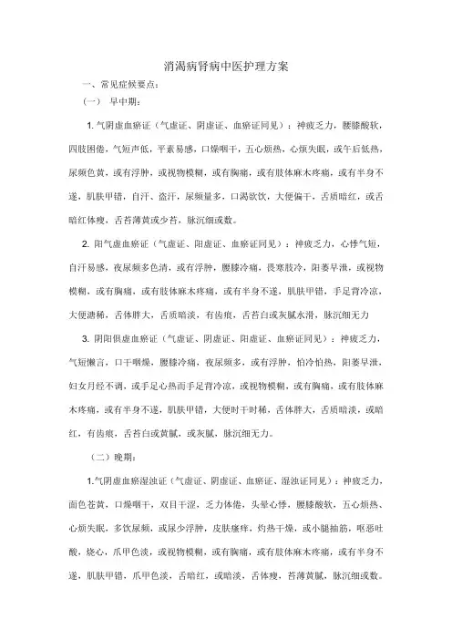 消渴病肾病中医护理方案
