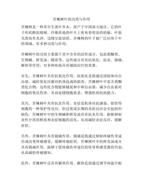 苦楝树叶的功效与作用