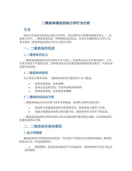 二维流体流动的动力学行为分析