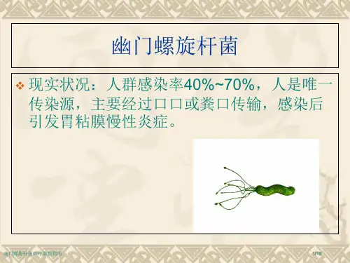 幽门螺旋杆菌治疗最新指南