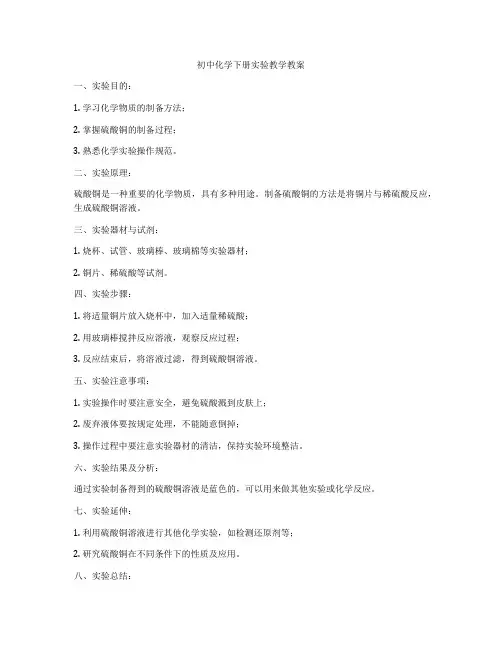 初中化学下册实验教学教案
