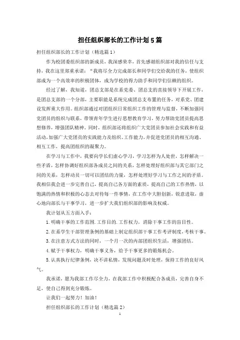 担任组织部长的工作计划5篇