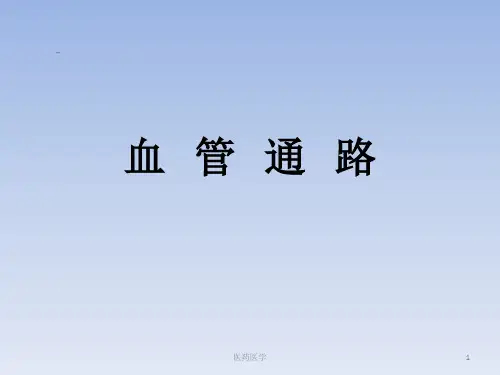 中国血液透析用血管通路专家共识(第2版)解读(医学知识)