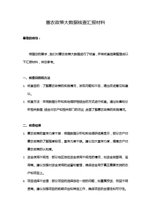 惠农政策大数据核查汇报材料