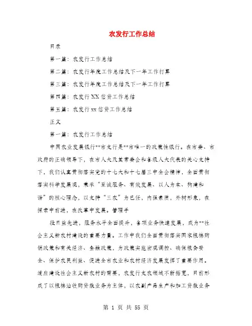 农发行工作总结(多篇范文)