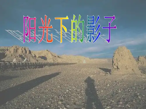 【教科版】五年级科学上册《阳光下的影子》