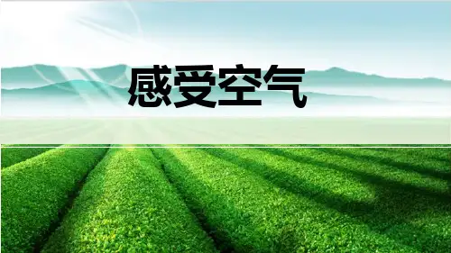 教科版三年级上册科学《感受空气》PPT教学课件