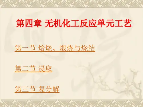 化学工艺学(2版)课件无机化工反应单元