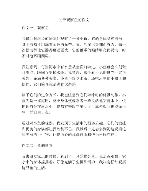 关于观察鱼的作文