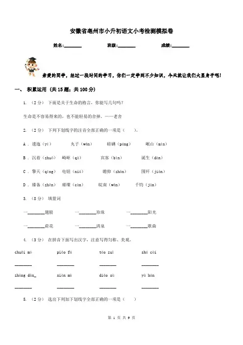 安徽省亳州市小升初语文小考检测模拟卷