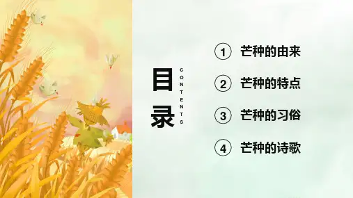 绿色清新二十四节气之芒种介绍PPT模板