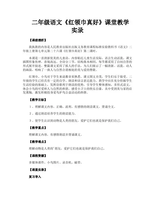 二年级语文《红领巾真好》课堂教学实录