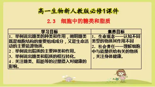 细胞中的糖类和脂质高一上学期生物人教版必修1 (2)