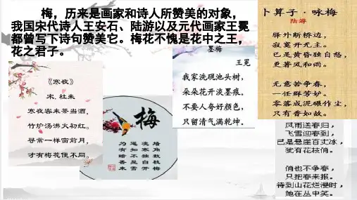 4梅花魂 课件(共20张PPT)