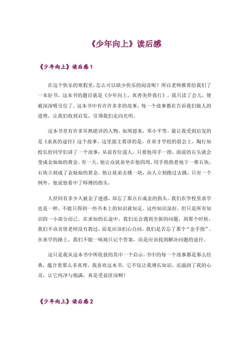 《少年向上》读后感