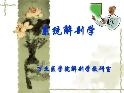 绪论