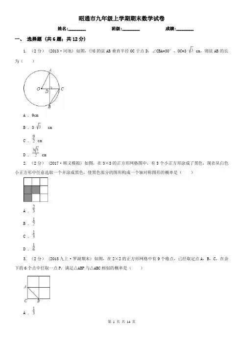 昭通市九年级上学期期末数学试卷
