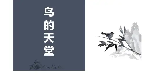 《鸟的天堂》PPT优秀课件