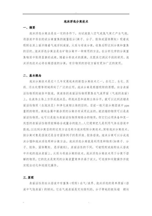 泡沫浮选分离技术