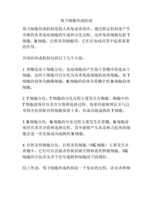 保卫细胞形成机制