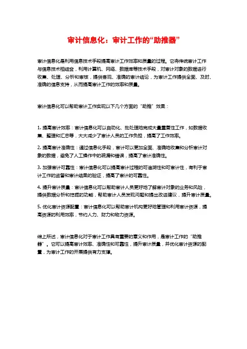 审计信息化：审计工作的“助推器”