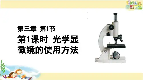 北师大版生物七年级上册  光学显微镜的使用方法