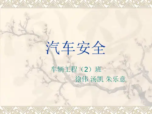 汽车安全.ppt