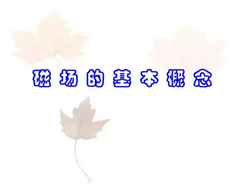 磁场的基本概念_1
