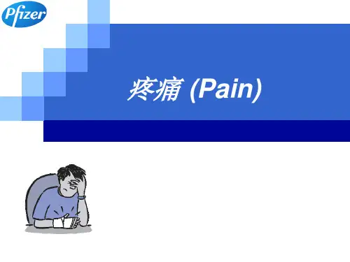 疼痛基础知识