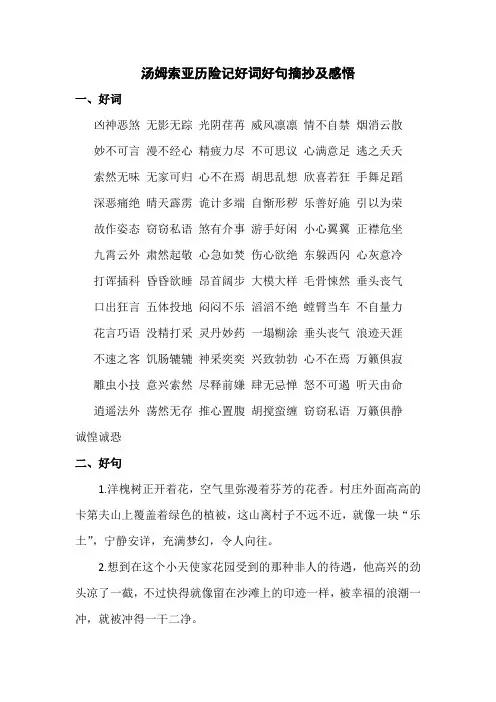 汤姆索亚历险记好词好句摘抄及感悟