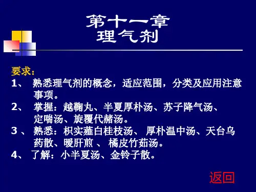 理气剂-幻灯片