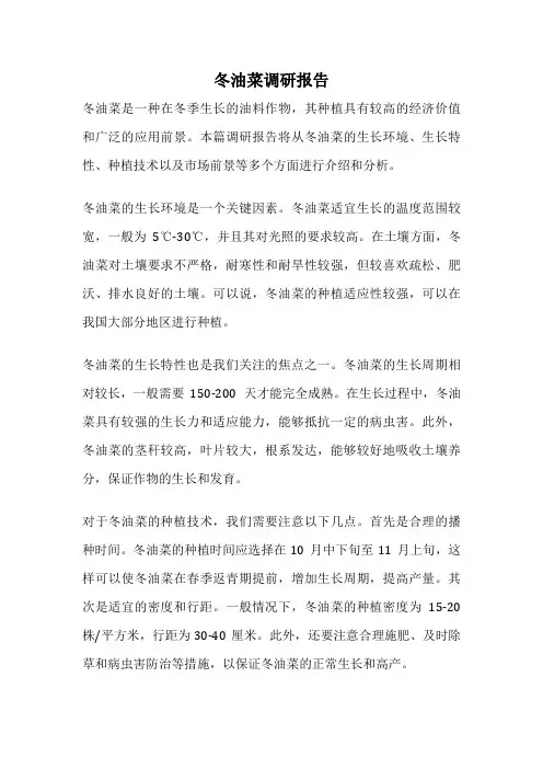 冬油菜调研报告