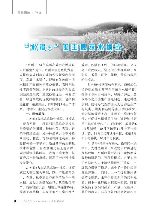 “水稻+”的主要技术模式