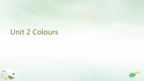 三年级上册英语-Unit 2 Colours 身边美丽的颜色_Coco 人教PPT课件