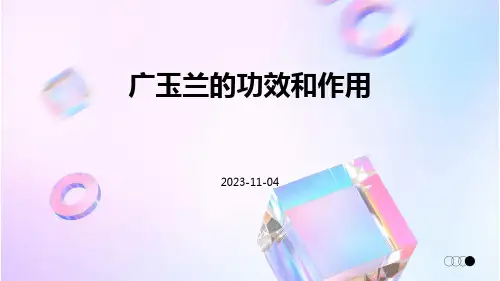 广玉兰的功效和作用